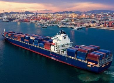 Definition of Miscel...